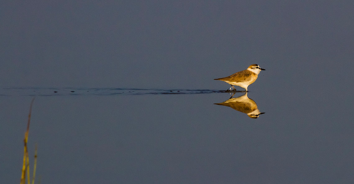 Praia de Areia Branca